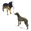Imagen de Perros Juguete - Animales Perros Diseños Surtidos