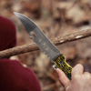 Imagen de Cuchillo de supervivencia con estuche
