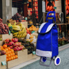 Imagen de Carrito con ruedas y bolso de lona para mandados
