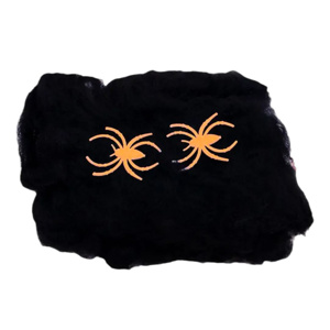 Imagen de Tela araña blanca y negra