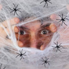 Imagen de Tela araña blanca y negra