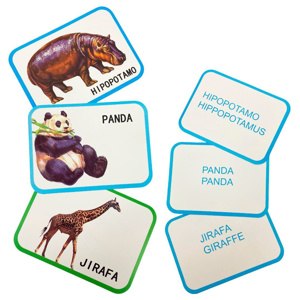 Imagen de Tarjetas de aprendizaje en español - Diseños temáticos surtidos