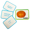 Imagen de Tarjetas de aprendizaje en español - Diseños temáticos surtidos