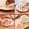 Imagen de Molde para dumpling 19 agujeros