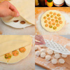 Imagen de Molde para dumpling 19 agujeros