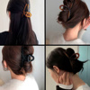 Imagen de Pinza para  cabello