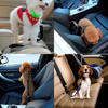 Imagen de Cinturón de seguridad para Mascotas para auto  Correa ajustable