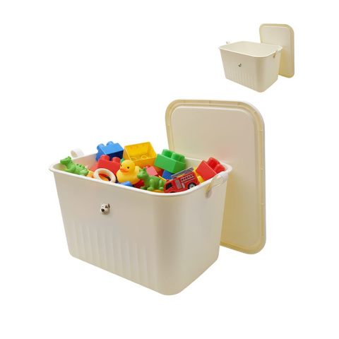 Imagen de Caja Organizadora en plástico Con tapa - 1 Caja de 25 x 24 x 22 cms