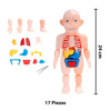 Imagen de Juego Puzzle de Anatomía Cuerpo Humano  -Juego Didáctico