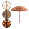 Imagen de Sombrilla hawaiana
