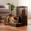 Imagen de Dispensador automático comida para mascota  Bluetooth
