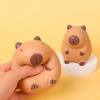 Imagen de Capibara Squishy Juguete anti estrés