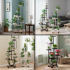 Imagen de Soporte para plantas - 6 Portamacetas + Estante inferior doble